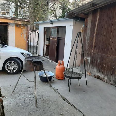Apartman Kod Kestena 오시예크 외부 사진
