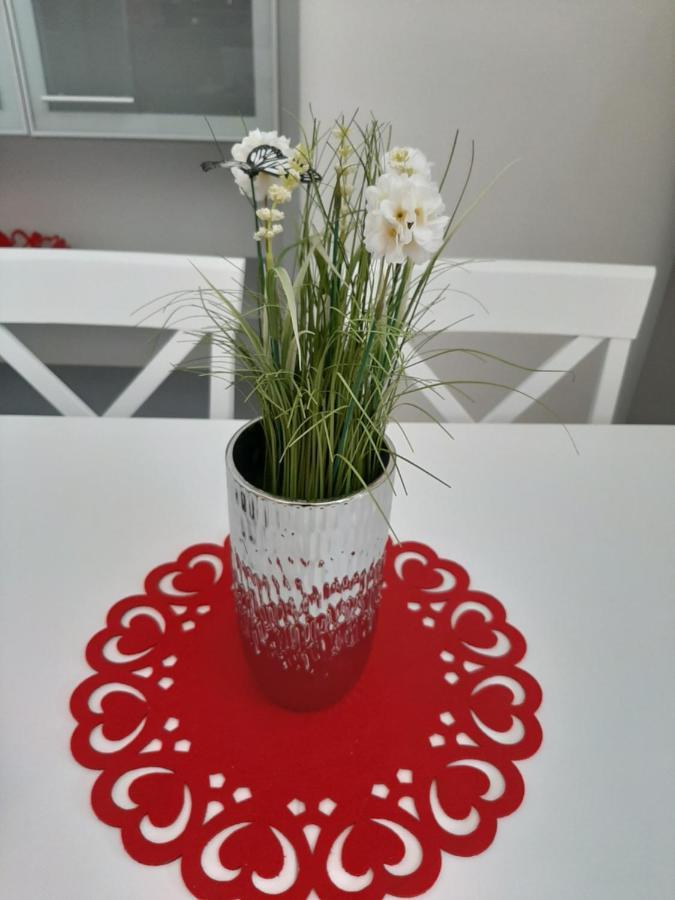 Apartman Kod Kestena 오시예크 외부 사진